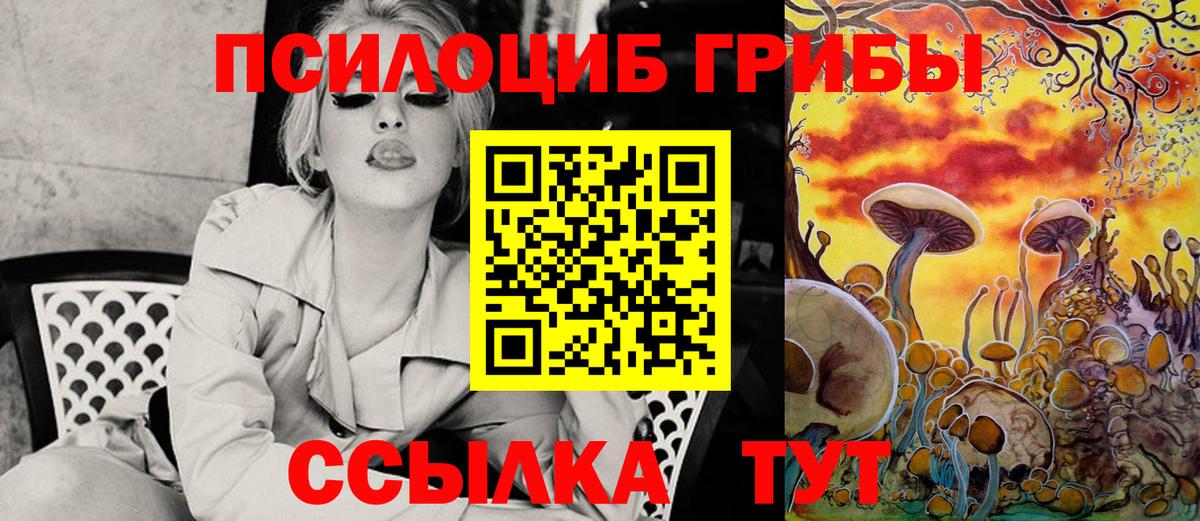 Псилоцибиновые грибы прущие грибы  купить наркоту  Барнаул  Вход с VPN  Псилоцибиновые грибы MAGIC MUSHROOMS 