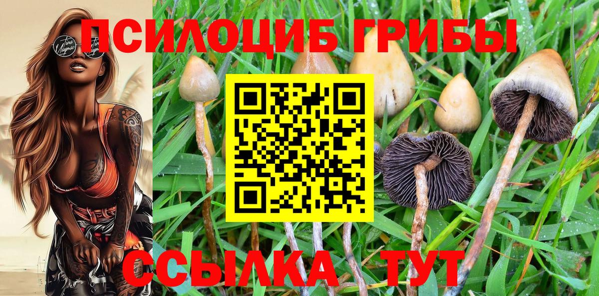Галлюциногенные грибы мухоморы Барнаул